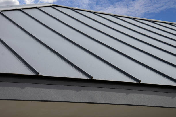 Steel Roofing in Brice Prairie, WI